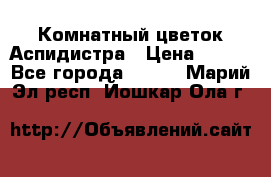 Комнатный цветок Аспидистра › Цена ­ 150 - Все города  »    . Марий Эл респ.,Йошкар-Ола г.